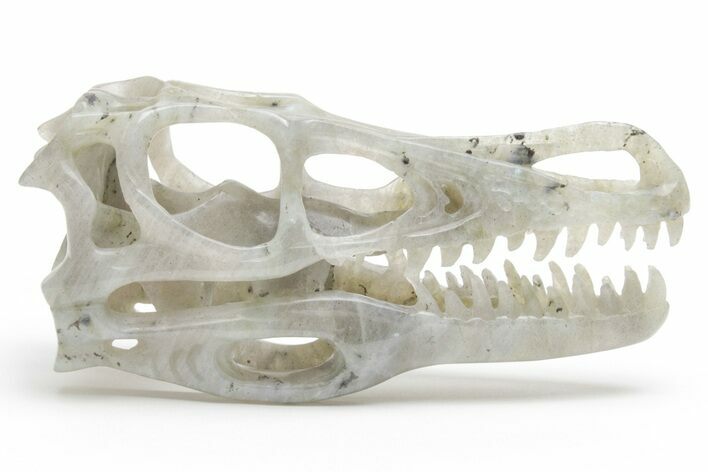 Carved Labradorite Dinosaur Skull #218493